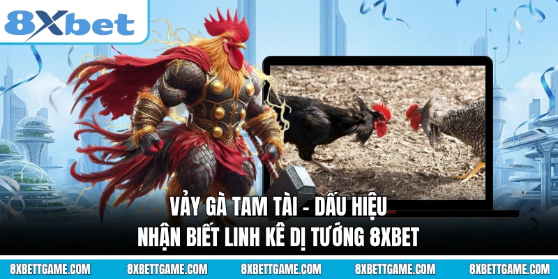 Vảy Gà Tam Tài - Dấu Hiệu Nhận Biết Linh Kê Dị Tướng 8XBET